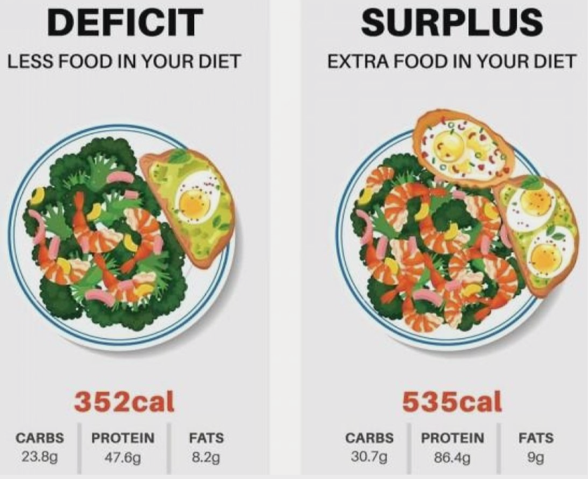 Calorie Deficit vs. Surplus