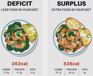 Calorie Deficit vs. Surplus